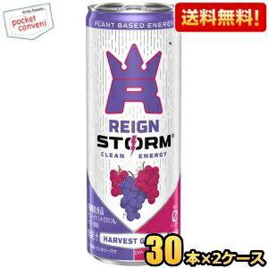 送料無料 アサヒ レインストーム ハーベストグレープ 250ml缶 60本(30本×2ケース) 炭酸...