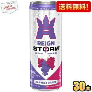 送料無料 アサヒ レインストーム ハーベストグレープ 250ml缶 30本入 炭酸飲料 エナジードリ...