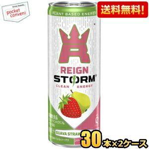 送料無料 アサヒ レインストーム グァバストロベリー 250ml缶 60本(30本×2ケース) 炭酸...