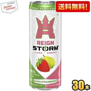 送料無料 アサヒ レインストーム グァバストロベリー 250ml缶 30本入 炭酸飲料 エナジードリ...