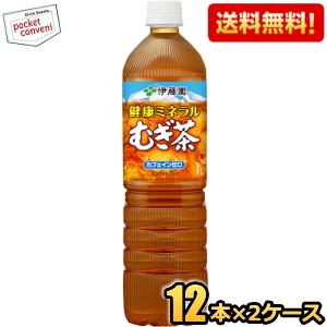 スリムボトル 送料無料 伊藤園 健康ミネラルむぎ茶 1Lペットボトル 24本(12本×2ケース) ミ...