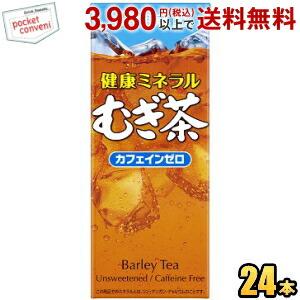 伊藤園 健康ミネラルむぎ茶 250ml紙パック 24本入 (麦茶) ポイント利用 爆買