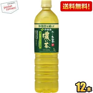 送料無料 スリムボトル 伊藤園 お〜いお茶 濃い茶 1Lペットボトル 12本入 おーいお茶 濃いお茶 機能性表示食品 ポイント利用 爆買