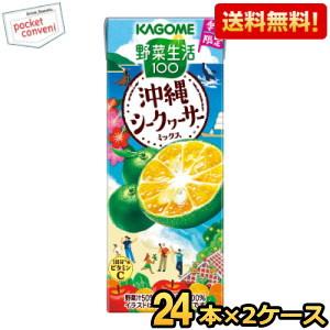 野菜生活100 カゴメ 山梨シャインマスカットミックス 195ml 紙パック