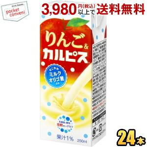 エルビー りんご＆カルピス 250ml紙パック 24本入 フルーツカルピス｜ポケットコンビニ ヤフー店