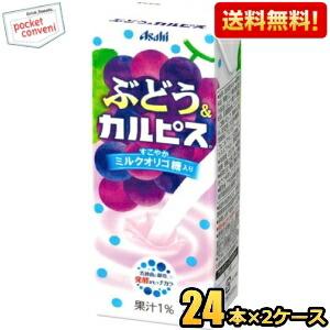 カルピス 期間限定特価 送料無料 250ml紙パック飲料 選べる2ケース 計
