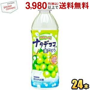 サンガリア つぶつぶナタデココ入り白ぶどう 500mlペットボトル 24本入｜ポケットコンビニ ヤフー店