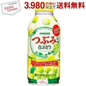 サンガリア つぶみ白ぶどう 380gボトル缶 24本入