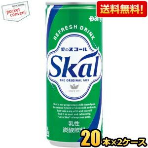 送料無料 南日本酪農協同(株) スコールホワイト 250ml缶[細缶] 40本 (20本×2ケース)...