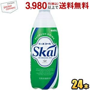 南日本酪農協同 スコールホワイト 500mlPET 24本入