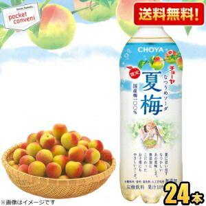 送料無料 チョーヤ CHOYA 夏梅ソーダ 500gペットボトル 24本入 炭酸飲料 なつうめソーダ 梅ジュース 紀州産南高梅使用