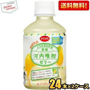 えひめ飲料 POM ポン 愛媛河内晩柑ゼリー 295gペットボトル