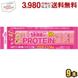 アサヒフード 1本満足バー プロテインストロベリー 9本入 プロテインバー 一本満足バー ポイント利...