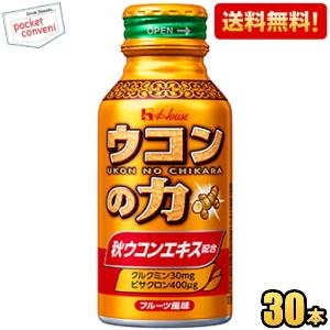 ウコンの力 【送料無料】ウコンの力 1ケース(100ml×60本) : SOLOTTA