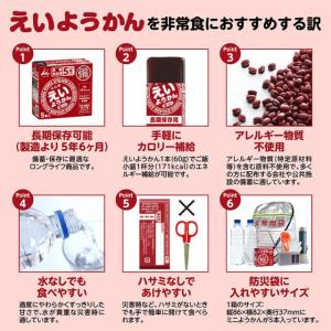 ゆうパケット送料無料10本 えいようかん 井村...の詳細画像2