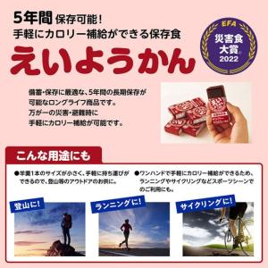 ゆうパケット送料無料10本 えいようかん 井村...の詳細画像5