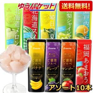 計10本 シャーベット 9種類アソートセット 80gパウチ×10本(9種×各1本、おまかせ×1本) 果汁 ゴールドパック ジュース アイス 詰め合わせ ゆうパケット送料無料｜ポケットコンビニ ヤフー店