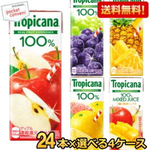 送料無料 キリン トロピカーナ 午後の紅茶 生茶 200ml 250ml紙パック 96本セット(24...