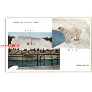 北極熊 白熊 楽器 手芸 コレクション の商品一覧 通販 Yahoo ショッピング