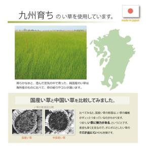 キッチンマット い草 国産 60×270cm ...の詳細画像2