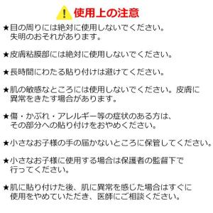 フェイス ボディシール スポーツ応援 日本 日...の詳細画像3