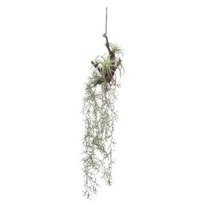 吊るす植物 吊るす インテリア フェイクグリー...の詳細画像1