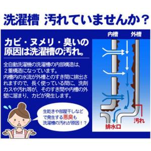 洗濯槽クリーナー 替用 2包 ホタテ貝 焼成カ...の詳細画像2