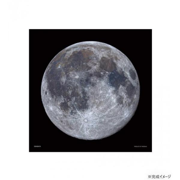 ジグソーパズル 満月 306ピース 25cm角 クレーター 宇宙 天体