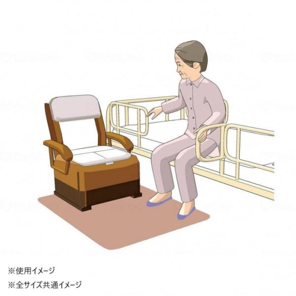 消臭マット ゼオシーター ブラウン Mサイズ 60×80cm 抗菌 遠赤外線