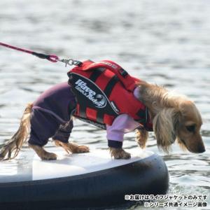 ライフジャケット 犬用 浮き具 ウォータースポ...の詳細画像3