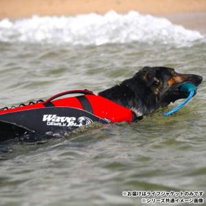 ライフジャケット 犬用 浮き具 ウォータースポ...の詳細画像4