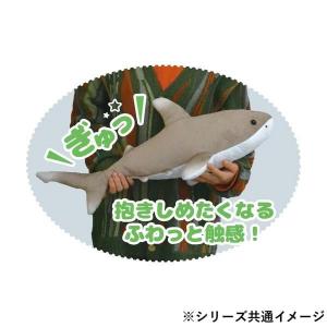 ぬいぐるみ ジンベエザメ サメ さめ 抱き枕 ...の詳細画像3