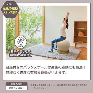 JTC(ジェー・ティー・シー) ねんねチェア2...の詳細画像5