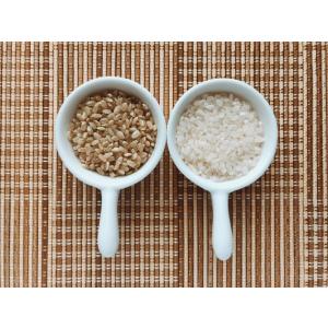 米 お米 10kg 2025年 選べる白米・玄米 10kg あきたこまち コシヒカリ ひとめぼれ