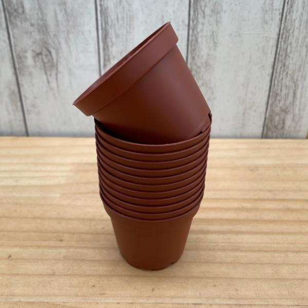 プラ鉢 ６cm (１２鉢セット)