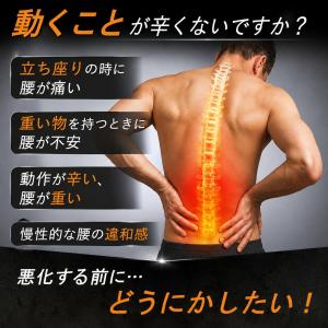 腰痛ベルト 腰サポーター 腰用 サポートベルト...の詳細画像4