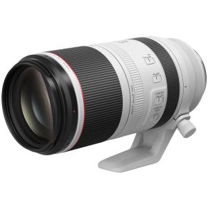 Canon 4112C001 RF100-500mm F4.5-7.1 L IS USM