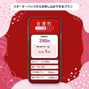 NT-ST2-P 日本通信SIM スターターパックの詳細画像1