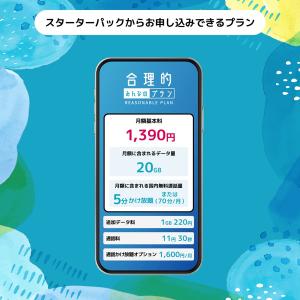 NT-ST2-P 日本通信SIM スターターパックの詳細画像2