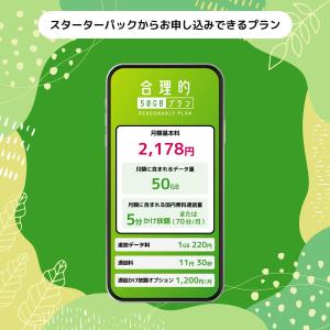NT-ST2-P 日本通信SIM スターターパックの詳細画像3