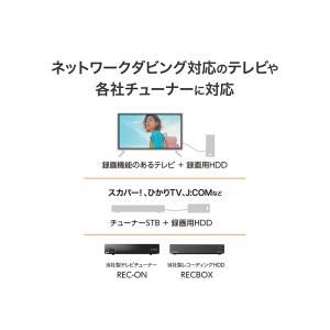 アイオーデータ DVRP-R1 USB Typ...の詳細画像3