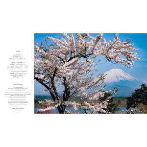 (Fujiyama)永遠の富士山の詳細画像1