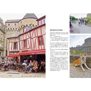 Inu de France(犬・ド・フランス)...の詳細画像3