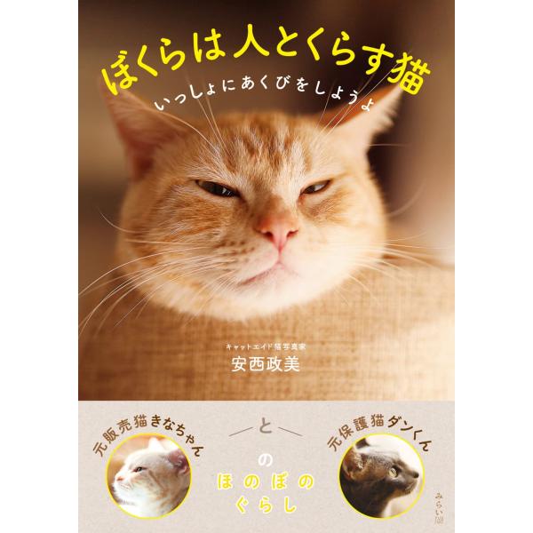 ぼくらは人とくらす猫　〜いっしょにあくびをしようよ