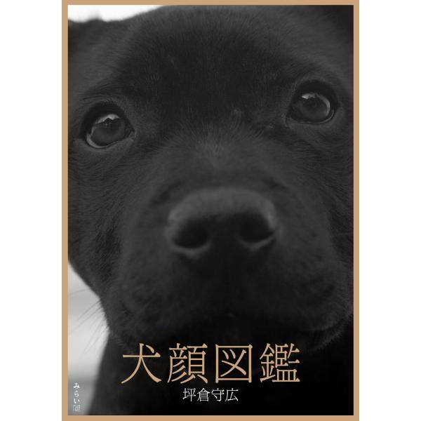 写真集　犬顔図鑑