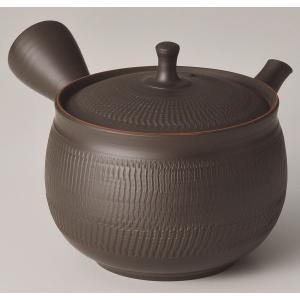 常滑焼急須 玉龍黒ビリ朱線セラメッシュ急須 約290cc : 虹八 kohya