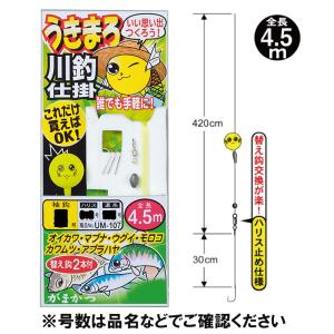 かんたん 池・川ウキ釣りセット 小物用 針2.4号-ハリス4号 CA141