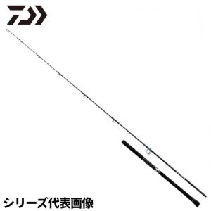 DAIWA（ダイワ） ソルティガ C エクスペディション 82-6 / マルチ