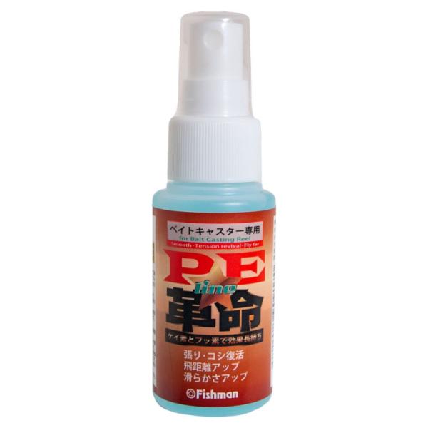 フィッシュマン PE革命