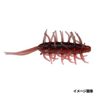 HIDEUP（ハイドアップ） コイケシュリンプミニCoike Shrimp mini